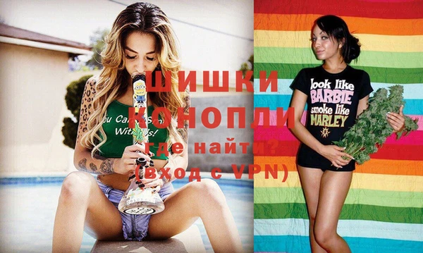 прущие грибы Балахна