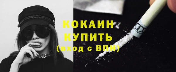 прущие грибы Балахна