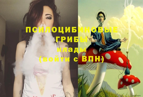 прущие грибы Балахна