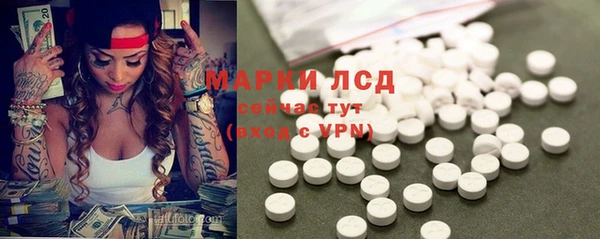 прущие грибы Балахна